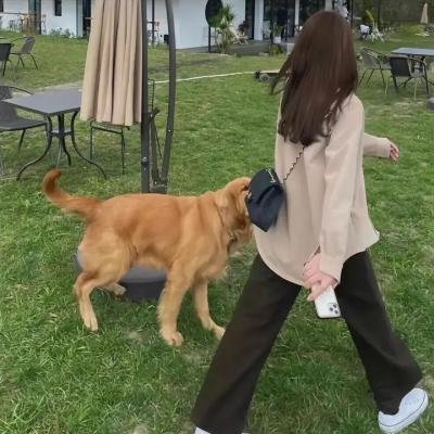 不拘小节的人